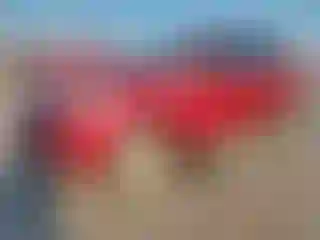 Vehicle Image- 2017 Ford Escape