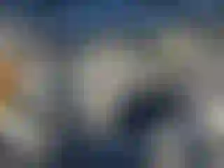Vehicle Image- 2017 Ford Escape