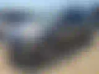 Vehicle Image- 2017 Ford Escape