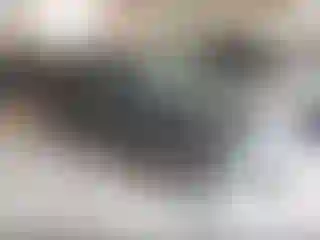 Vehicle Image- 2019 Ford Escape