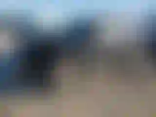 Vehicle Image- 2017 Ford Escape