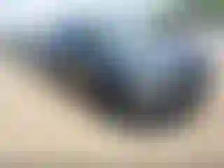 Vehicle Image- 2017 Ford Escape