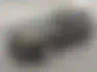 Vehicle Image- 2019 Ford Escape