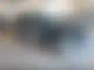 Vehicle Image- 2019 Ford Escape