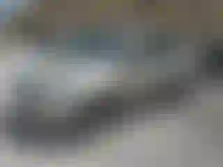 Vehicle Image- 2018 Ford Escape