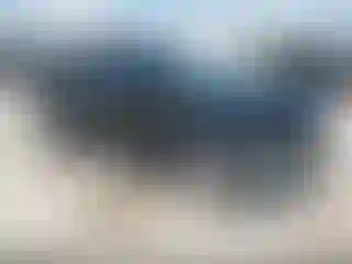 Vehicle Image- 2019 Ford Escape
