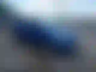 Vehicle Image- 2017 Ford Escape