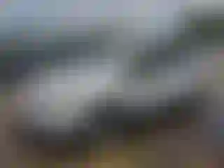 Vehicle Image- 2019 Ford Escape