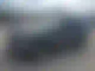 Vehicle Image- 2024 Ford Escape