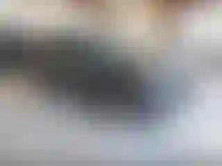 Vehicle Image- 2023 Ford Escape