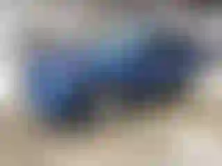 Vehicle Image- 2023 Ford Escape