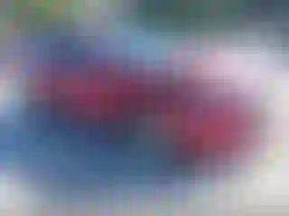 Vehicle Image- 2023 Ford Escape