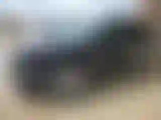 Vehicle Image- 2023 Ford Escape