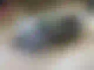 Vehicle Image- 2024 Ford Escape