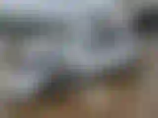 Vehicle Image- 2024 Ford Escape