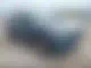 Vehicle Image- 2024 Ford Escape