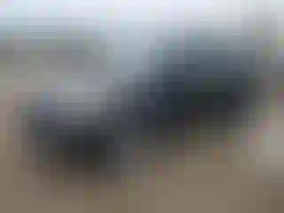 Vehicle Image- 2013 Ford Escape