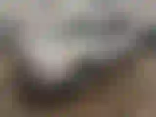 Vehicle Image- 2013 Ford Escape