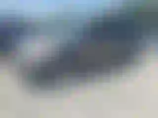 Vehicle Image- 2014 Ford Escape
