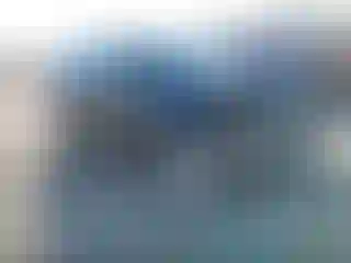 Vehicle Image- 2014 Ford Escape