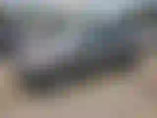 Vehicle Image- 2014 Ford Escape