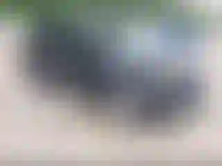 Vehicle Image- 2013 Ford Escape