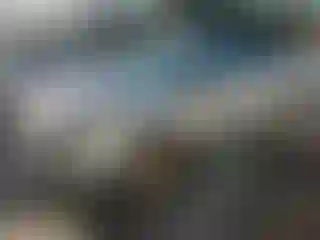 Vehicle Image- 2014 Ford Escape