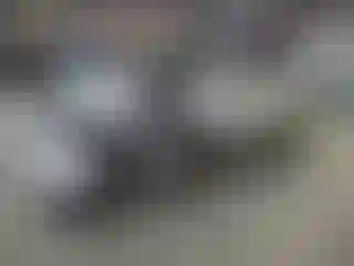 Vehicle Image- 2014 Ford Escape