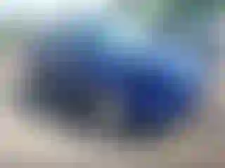 Vehicle Image- 2015 Ford Escape