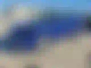 Vehicle Image- 2016 Ford Escape