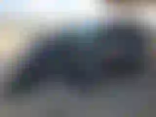 Vehicle Image- 2016 Ford Escape