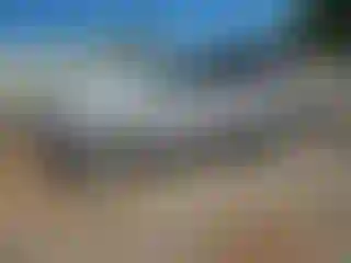 Vehicle Image- 2016 Ford Escape