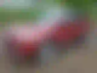 Vehicle Image- 2013 Ford Escape