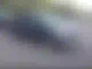Vehicle Image- 2013 Ford Escape