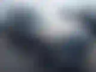 Vehicle Image- 2013 Ford Escape