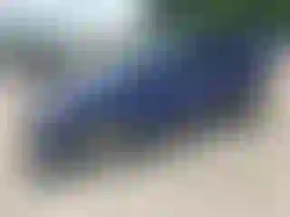 Vehicle Image- 2013 Ford Escape