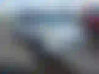 Vehicle Image- 2014 Ford Escape