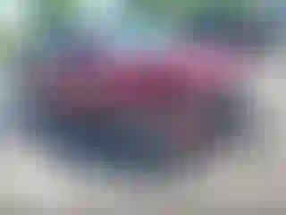 Vehicle Image- 2014 Ford Escape
