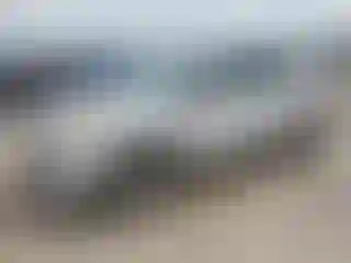 Vehicle Image- 2014 Ford Escape
