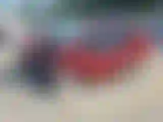 Vehicle Image- 2015 Ford Escape