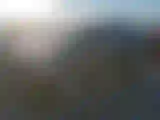 Vehicle Image- 2016 Ford Escape