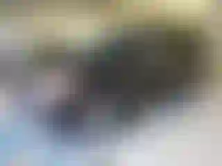 Vehicle Image- 2016 Ford Escape