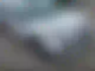 Vehicle Image- 2013 Ford Escape