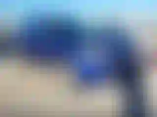 Vehicle Image- 2014 Ford Escape