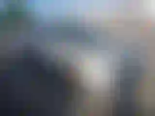 Vehicle Image- 2014 Ford Escape