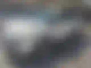 Vehicle Image- 2016 Ford Escape