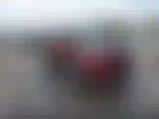 Vehicle Image- 2014 Ford Escape