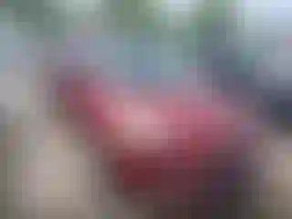 Vehicle Image- 2014 Ford Escape