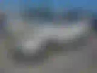 Vehicle Image- 2016 Ford Escape