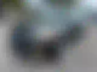 Vehicle Image- 2016 Ford Escape